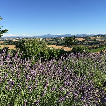 Solea Relais Di Charme- Adults Only Guest House Trecastelli Luaran gambar