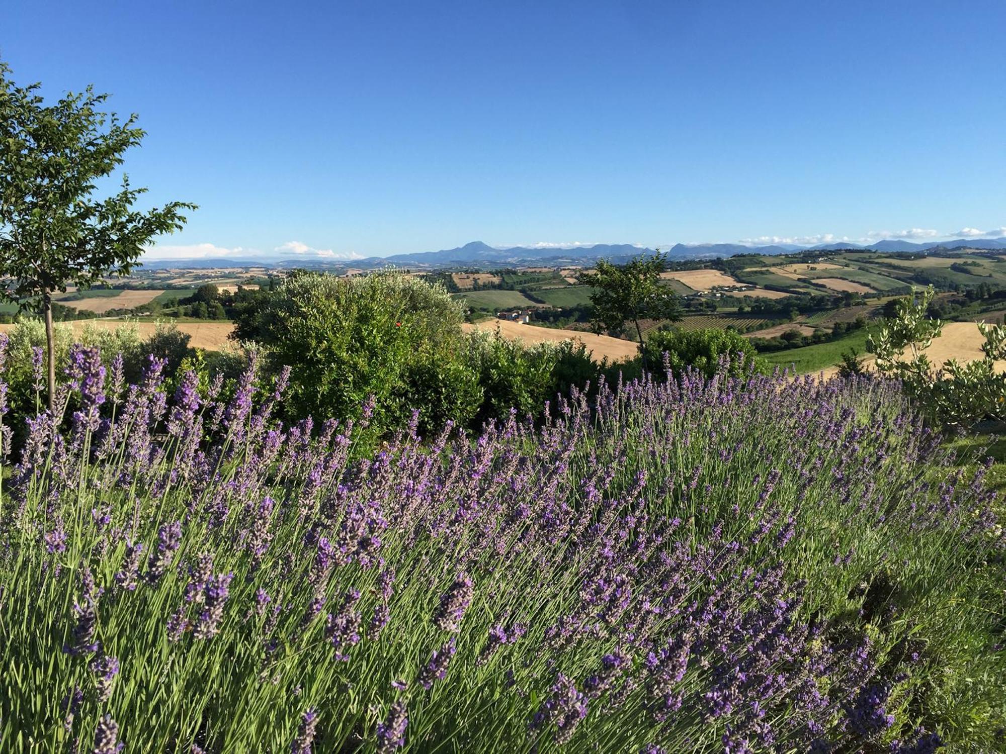 Solea Relais Di Charme- Adults Only Guest House Trecastelli Luaran gambar